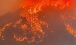 안동 산불, 강풍에 다시 확산… 고속도로까지 통제돼