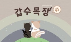 TV보도→해명글→녹취록공개→해명방송…갑수목장 동물학대 ‘진실게임’