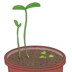 [은미희의동행] 인생의 봄