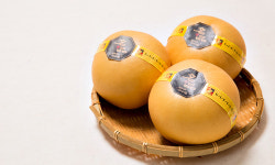 ‘과즙이 팡팡’ 나주배… 진상품 옛 명성 되찾는다