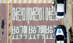 5∼6월, 어린이 교통사고 최다 발생… “저학년일수록 사상자 많아”