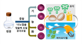 부산대 김일 교수, 바이오디젤 생산성 혁신의 길 개척