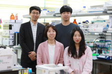 카이스트 연구팀, 바이러스 감염병 만능 진단기술 개발