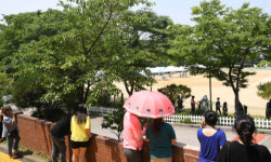 60세 이상 환자 증가율 한 주 새 최고… 고령층이 위험하다