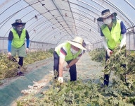 농협 조합감사위원회, 충북 진천서 ‘함께하는 농협’ 실천