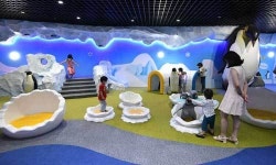 극 지방 체험관 어린이에 인기