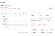돼지독감 관련주 체시스·우진비앤지·이글벳 이틀째 상승.. 동물용 의약품 제조업체