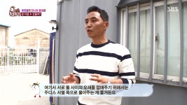 ‘동물농장’ 휘핏 가족의 자매 싸움에 전문가 “서열 확실히 정해줘야”.. 휘핏은 어떤 견종?