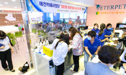 폐쇄된 개시장 인근에 들어선 애견카페