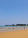 여름바다가 부른다… 만리포 갈까 천리포 갈까 [최현태 기자의 여행홀릭]