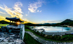 시골서 생태체험·숲속서 별 헤는 밤… 여름휴가, 여기 어때?