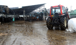 섬진강 수계 줄줄이 물바다… 수재민들 수위조절 실패가 화 키워