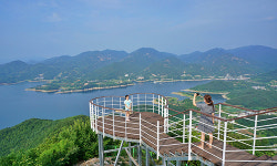 몸과 마음 치유하는 여름 힐링 숲 여행 [최현태 기자의 여행홀릭]