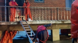 “쓰러지고 침수되고”… ‘마이삭’ 충북 곳곳에 상처