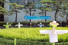 농협 농업박물관, 코로나19 종식 및 풍년기원 허수아비 설치