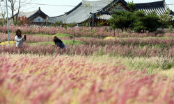 ‘나비의 고장’ 함평서 하룻밤 이상 묵고 가세요