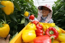 ‘친환경농업 1번지’로 청년농업인 미래 연다