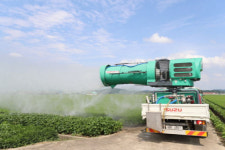 아프리카돼지열병 1년 만에 재발… 1500마리 살처분 예정