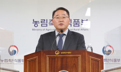 2020년 쌀 생산 감소 불구 수급 문제 없을 듯