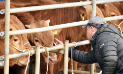 하천에 몰래 분뇨 무단 방출… 구미 축산농가 12개 위법사항 적발