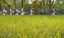 “수확은 줄었지만… 결실의 기쁨 함께 나눠요” [밀착취재]