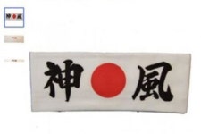 쿠팡 등 국내 주요 이커머스 가미카제 관련 상품과 혈투 중?