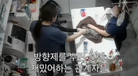 염증 냄새 제거하려고 페브리즈를? 학대 논란 광주 동물병원, 해명글 올렸다가 뭇매…결국 사과