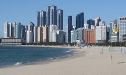 부산, 최근 일주일 간 274명 확진… 하루 평균 39.1명꼴