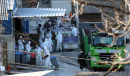 김포·부안 등 농장 4곳서 고병원성 AI 확진