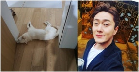심진화♥ 김원효, 문앞에 태평히 누워있는 태풍이 모습에 이것이 진정한 바리개이트