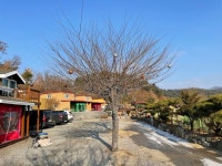 어머니의 품과 같은 대자연 속으로 가평 모나캠핑파크 언택트여행 [일상톡톡 플러스]