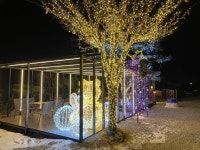 어머니의 품과 같은 대자연 속으로 가평 모나캠핑파크 언택트여행 [일상톡톡 플러스]