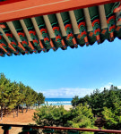 겨울바다와 대게가 유혹한다 영덕갈까 울진갈까 [최현태 기자의 여행홀릭]