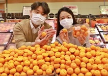새로 나온 ‘제주 미니향’ 맛보세요