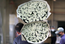 입학·졸업식도 비대면으로… 대목 특수 사라진 화훼업계는 울상