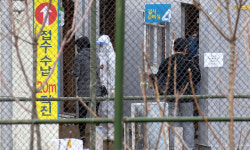 국내 20대 첫 사망… 확진 다음날 숨져