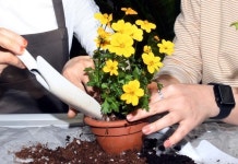 [포토에세이] 코로나로 지친 일상 ‘희망’을 심어보자