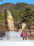 겨울 별미 거제 대구탕 vs 통영 고등어회·조림 [최현태 기자의 여행홀릭]