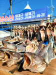 겨울 별미 거제 대구탕 vs 통영 고등어회·조림 [최현태 기자의 여행홀릭]