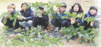 ‘집콕’ 대신 매일 등교… “청정 자연 속 진짜 학교 다닐 맛 나요” [S 스토리]