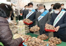 서울농협, 농축산물 직거래 뜨락장터 개장