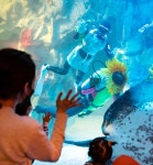 [포토] 롯데월드 아쿠아리움으로 봄 맞이 꽃 구경 오세요