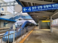 KTX 타고 가볍게 떠나는 제천 봄 여행 [최현태 기자의 여행홀릭]