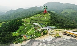 힐링 관광지 보성 녹차밭, 오감 만족 정원으로 탈바꿈한다