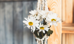 발길 닿는 곳마다 녹색 쉼터… 집이야? 숲이야?