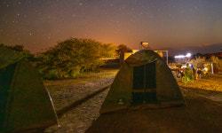 캠핑장 관리자 ‘사칭’ 수천만원 챙긴 20대 적발