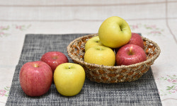 청정 자연 품은 ‘푸른 소나무’의 고장… 힐링여행에 딱∼ [지방기획]