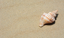 10년 전 남해 살던 소라, 울진까지 이사한 이유는?