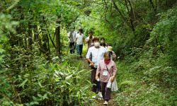 텃밭 가꾸고 동물과 교감하며 힐링… ‘치유농업’이 뜬다 [농어촌이 미래다-그린라이프]