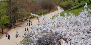 [포토] 봄날의 산책